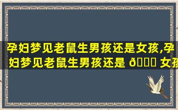 孕妇梦见老鼠生男孩还是女孩,孕妇梦见老鼠生男孩还是 🐕 女孩周公解梦